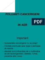 Poluanti Cancerigeni (Aer)