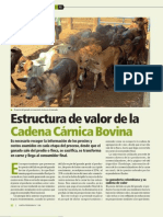 11-Ind - Estructura de Valor de La Cadena Carnica Bovina