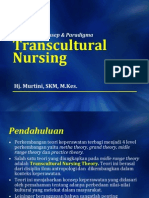 Transkultural Nursing