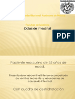 Oclusión Intestinal