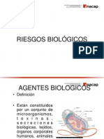 Riesgos Biologicos