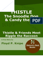 Thistle and Friends Meet Ripple the Raccoon