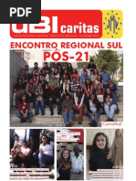 Boletim Informativo da Região Sul da JMV - Novembro 2012