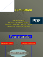 Fetal Circulation