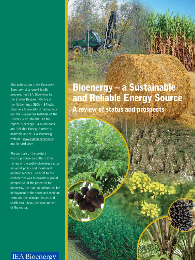 Bioenergy: Sustainable Energy Insights | PDF | Biomass | Biofuel