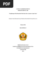 Download LAPAK FHA 4 by Anisah Qori Afifah SN114622479 doc pdf