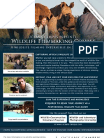 Wildlife Filming Internship