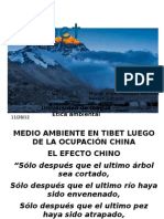 Daño Ambiental