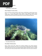 Download Biota Laut Yg Dilindungi - PP No 7 Thn 1999 by Willy Lasano SN114700468 doc pdf