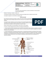 Órganos y sistemas de órganos