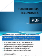Tuberculosis Secundaria Patogenia - More