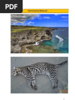 Patri Moni o Portugal Natural