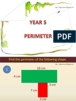 Perimeter