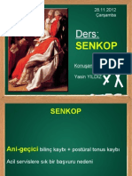 Senko PPP