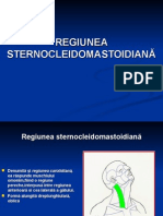 Curs 11 Regiunea Sternocleidomastoidian