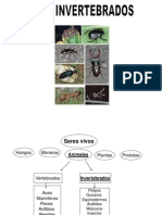 Tema 5 Invertebrados Final