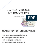 Enterovirus & Poliomyelitis
