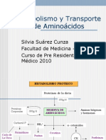 (02)  Metabolismo y Transporte de Aminoácidos -04- DRA. SUAR