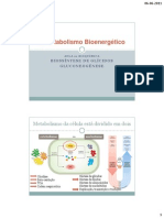 Bioquimica_aula21