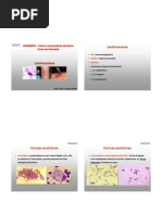 Aula 14 Leishmaniose Cutanea