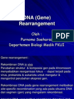 3.DNA (Gene) Rearrangement (1) Bahan Bacaan