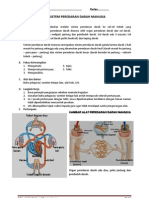 Sistem Peredaran Darah Manusia (Human Blood Circulation System)