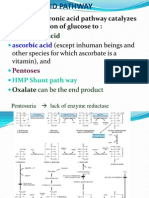 5 Uronate Path Way