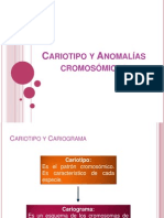 Cariotipo y Anomalías Cromosómicas