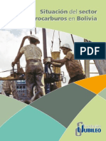 Situacion Hidrocarburos Bolivia