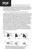 Módulo 5 - Problema 1