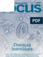 Focus 19.1