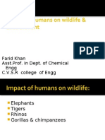 Poaching of Animals