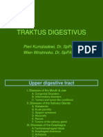 TRAKTUS DIGESTIVUS