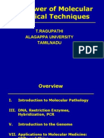 The Power of Molecular Biological Techniques: T.Ragupathi Alagappa University Tamilnadu