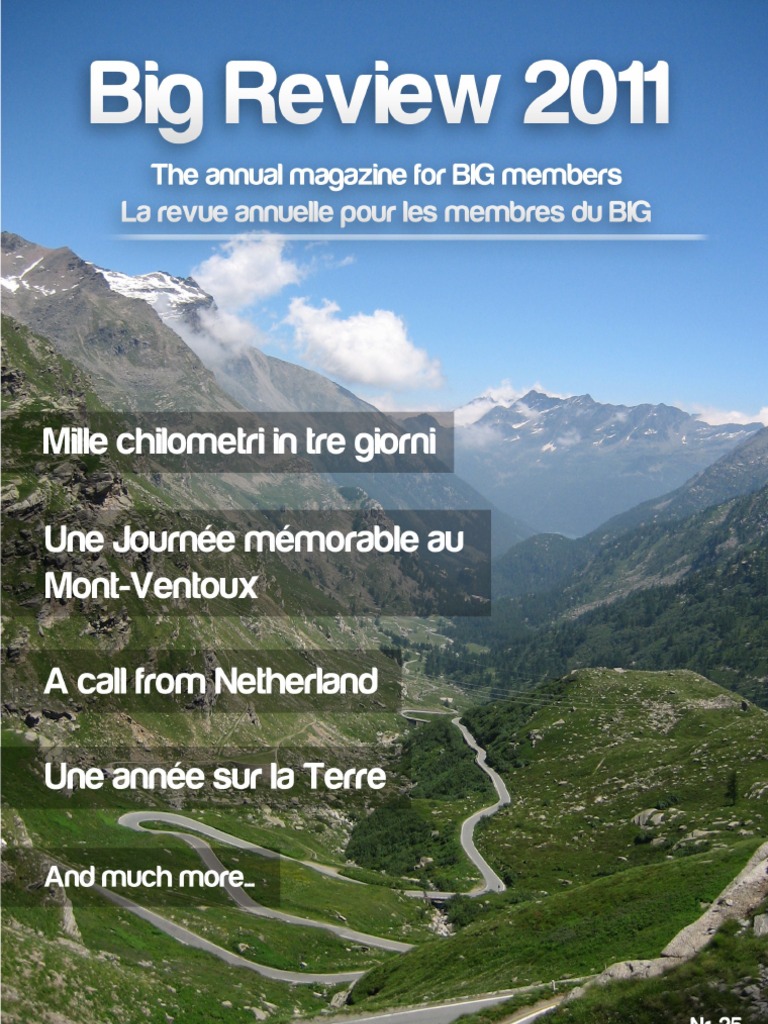 revue 2011 pdf business