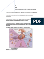 Sistema Endocrino y Hormonas