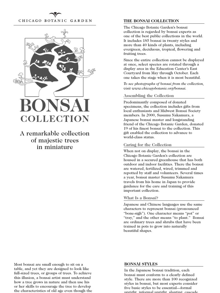 Bonsai Guide PDF Bonsai Trees