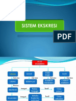 Sistem Ekskresi