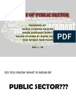 Function of Public Sector
