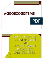 0 Agroecosisteme