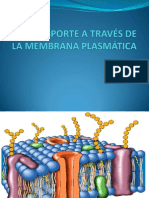 Transporte A Través de La Membrana Plasmática