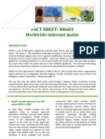 FACT SHEET: NK603 Herbicide-Tolerant Maize