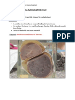 Practical Pathology 2 - Tumours of The Ovary