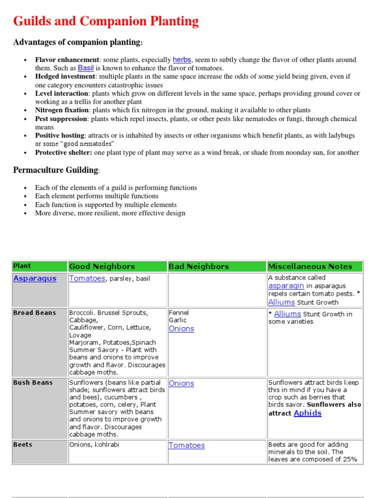 Companion Planting and Guilds Guide | PDF | Tomato | Cabbage