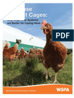 The Case Against Cages: Why Cage-Free Systems Are Better For Laying Hens