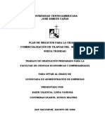 Plan de Negocios para La Crianza y Comercialización de Tilapias de Nueva Trinidad