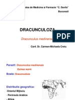 Dracunculus Medinensis