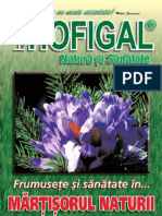 Revista Hofigal Nr 10