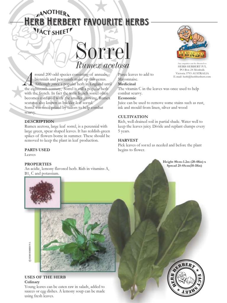 Sorrel | PDF