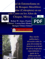 Chapter 37 Examples Reserach Mex - Soc - 2005 - Final